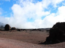 Vis et Lutz : Nos premiers visiteurs !